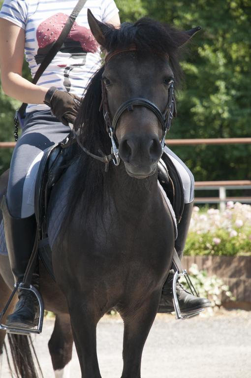 Agriturismo Jesson Rosamund Καντού Εξωτερικό φωτογραφία